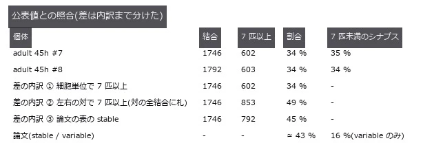 論文は左右の対でまとめた結合が 7 匹以上に在れば、その対の細胞単位の結合すべてに stable の札を付ける(②)。