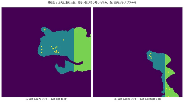 図
