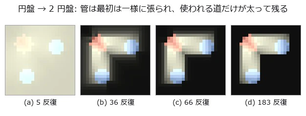 EMD 12.0001(画素単位)。粘菌の費用 12.0001、Kantorovich–Rubinstein の下界 12.0000。