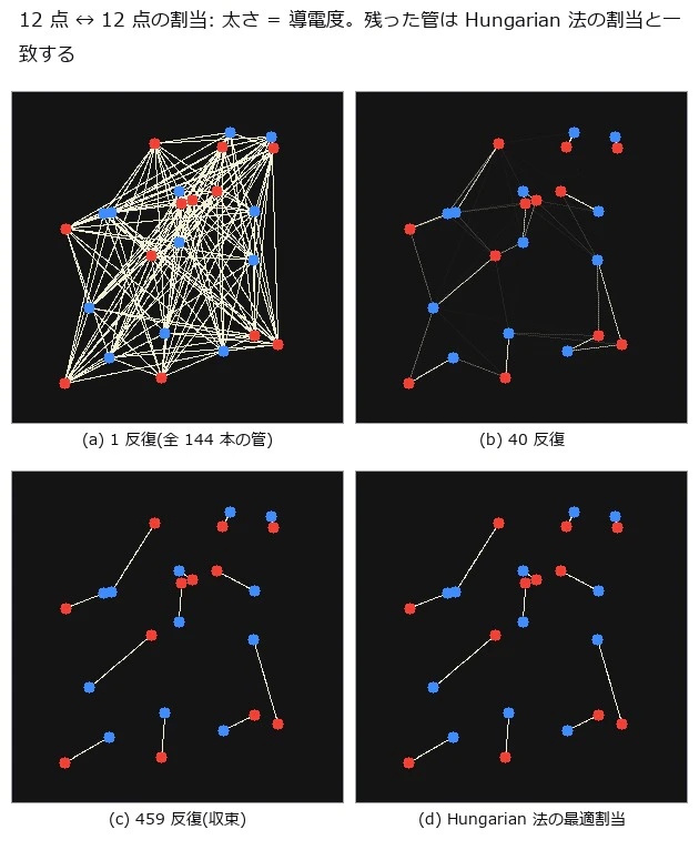 完全 2 部グラフ 144 本、ユークリッド長。