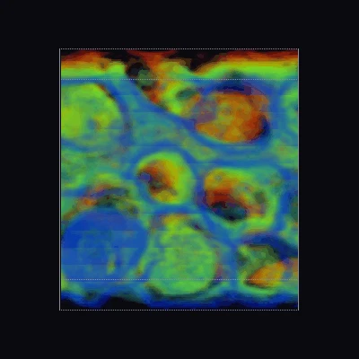 the EM stack rotating: neurites are the tubes, coloured by depth; the same operator that rotated the surveillance clip