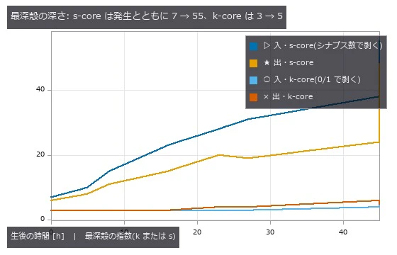 同じ 8 匹。0/1 の k-core は成虫でも指数 5、最深殻が 179 細胞まで膨らむ。シナプス数で剥く s-core は最深殻が 6〜10 細胞のまま深くなる。