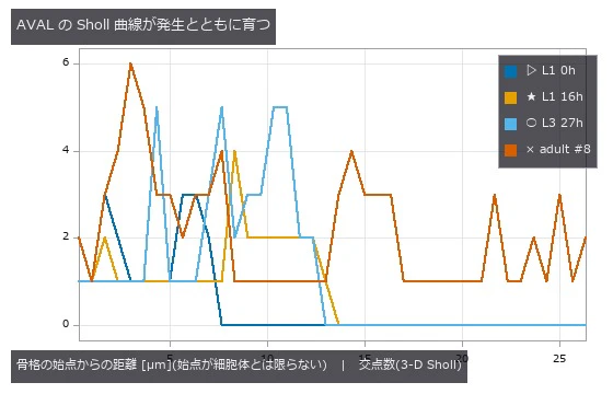 同じ名前のニューロン AVAL を 4 つの発生段階で。3-D の Sholl なので回転に依らない。