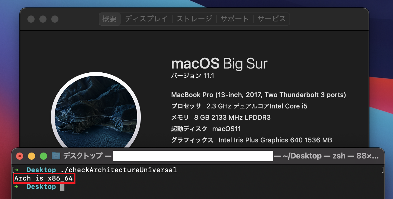 Intel環境ツール出力