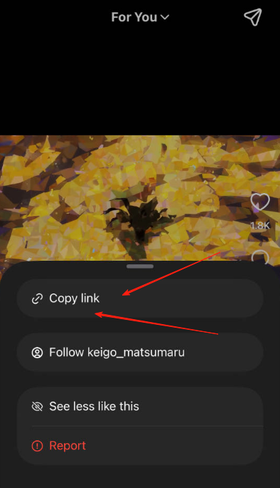 Soraビデオのダウンロード方法 - ステップ2