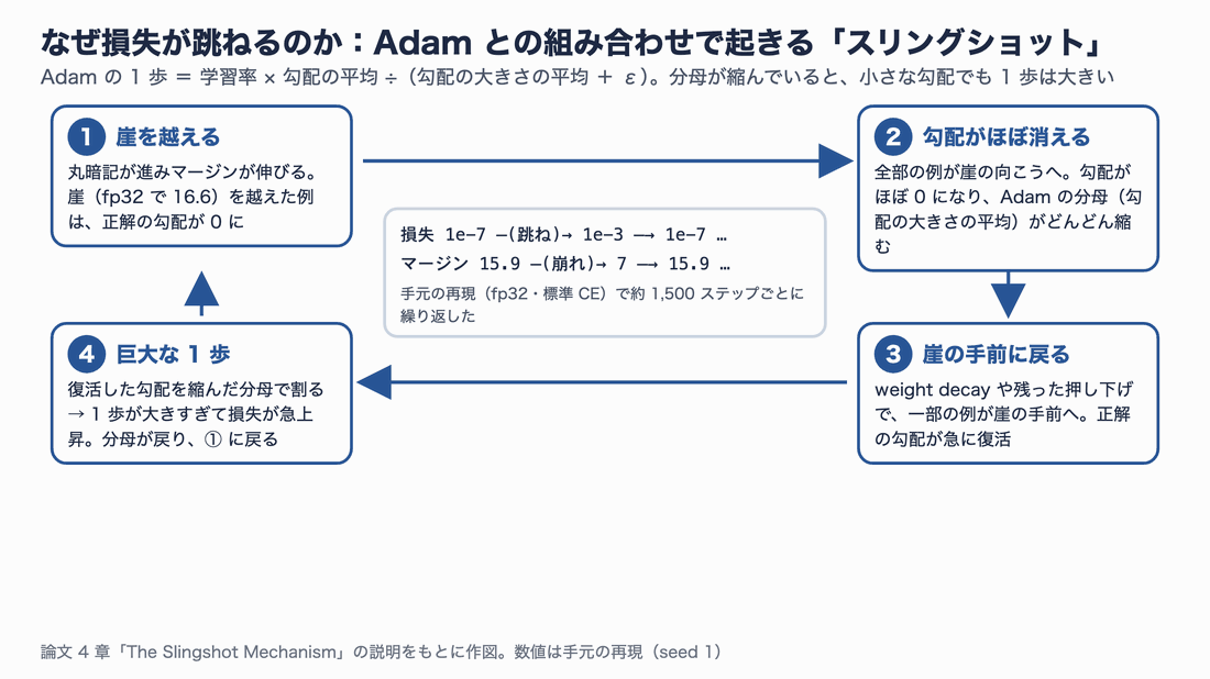 スリングショットの4段階のサイクル。①丸暗記が進みマージンが崖を越えると正解の勾配が0に、②全部の例が崖の向こうへ行くと勾配がほぼ消えAdamの分母が縮む、③weight decayなどで一部の例が崖の手前に戻り正解の勾配が復活、④縮んだ分母で割るので1歩が大きすぎて損失が急上昇し、①に戻る
