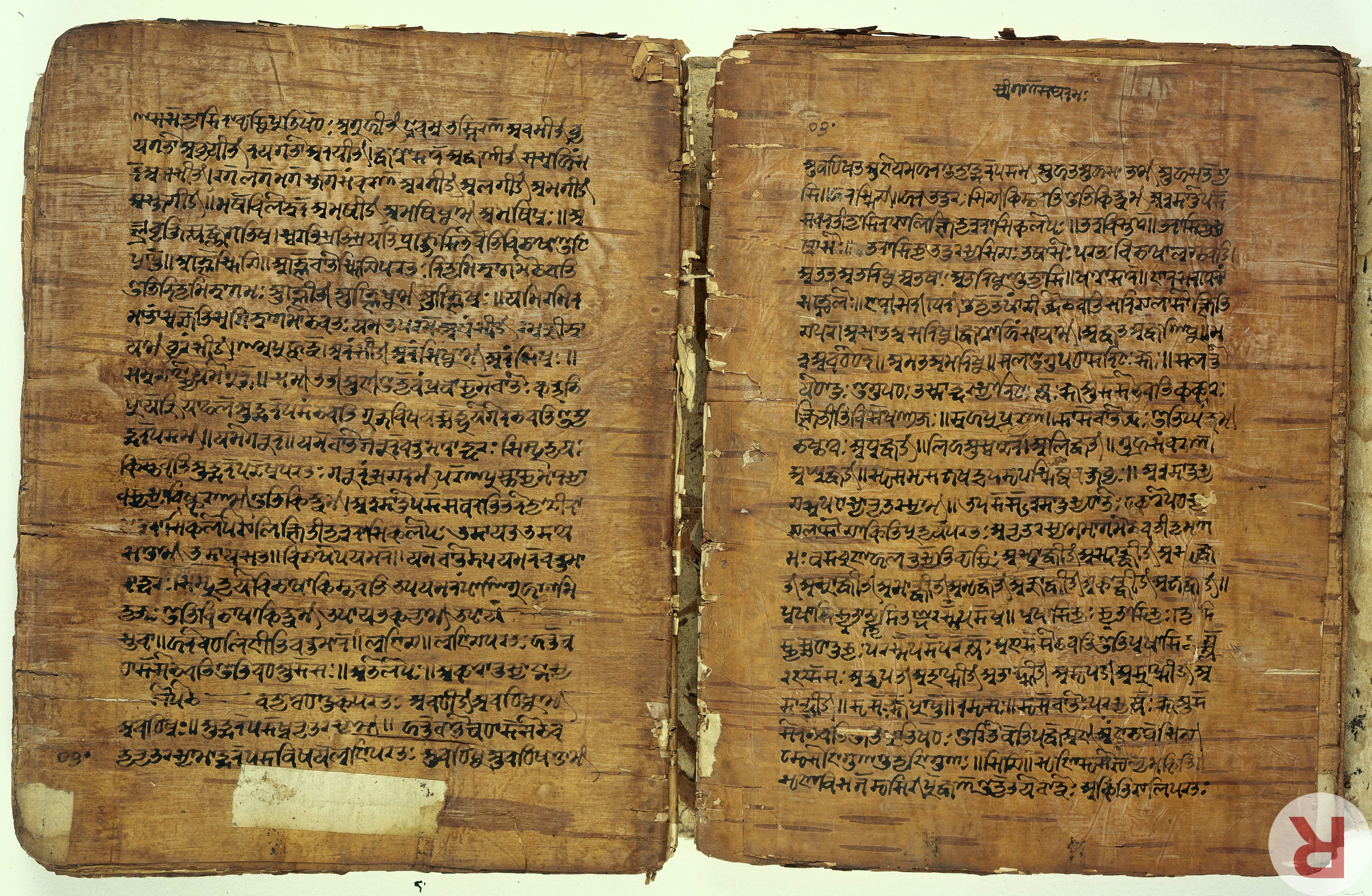 A 17th-century birch bark manuscript of Pāṇini's grammar treatise from Kashmir