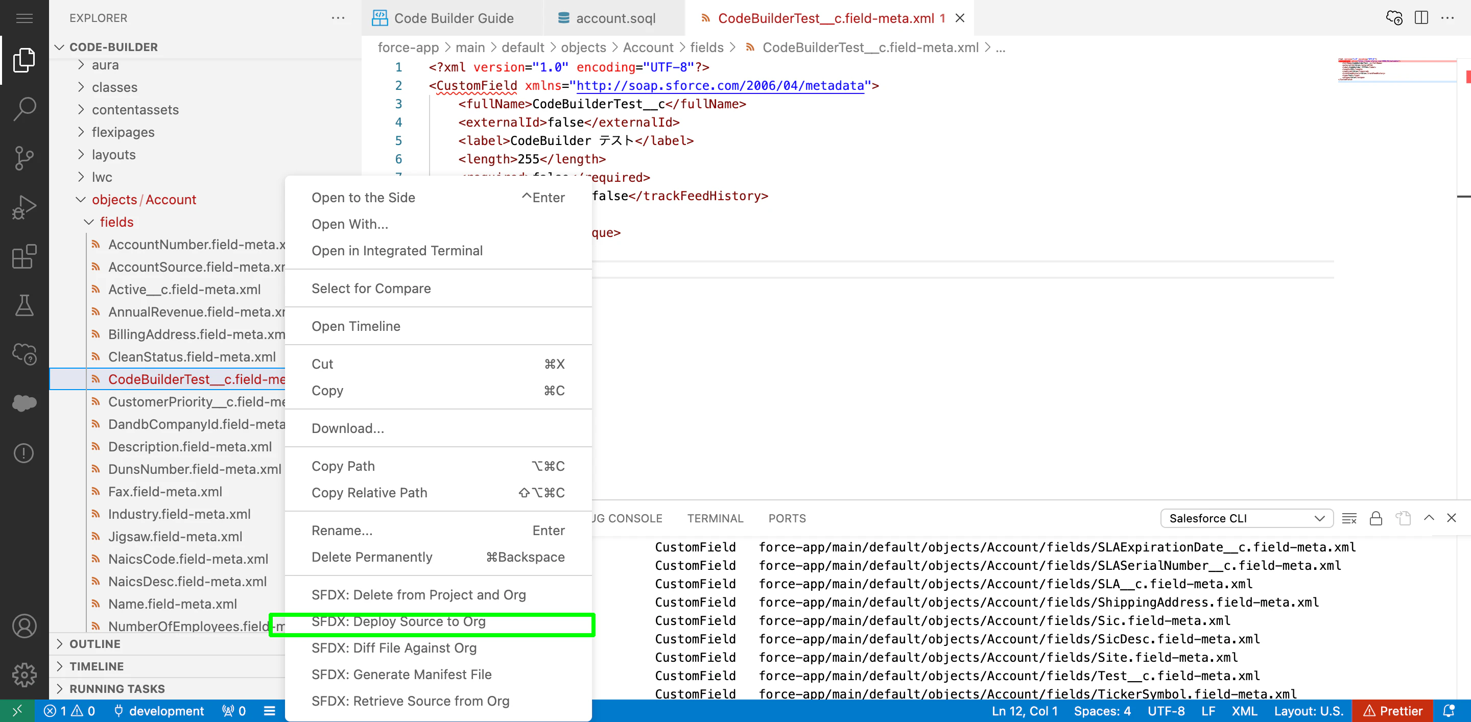 CodeBuilderTest__c field-meta xml — code-builder — code-server