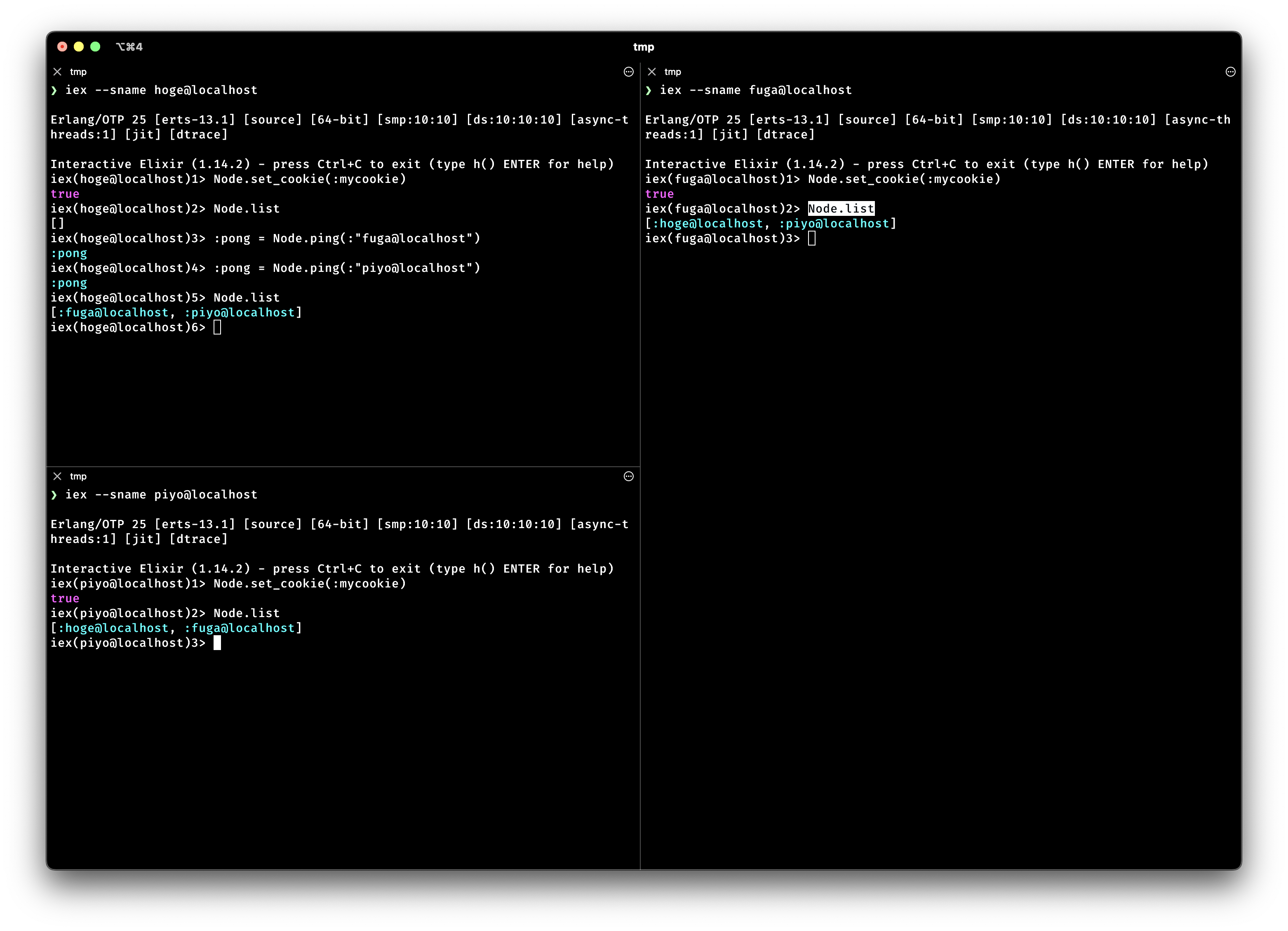 Node.ping/1でノードを接続